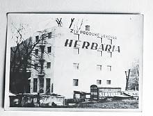 Továreň Herbaria v čase výroby likérov okolo r. 1920