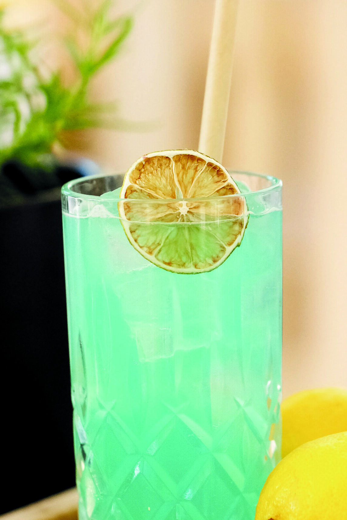 Juniperus Gin